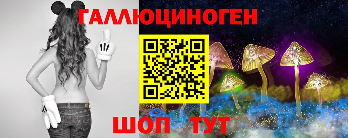 Псилоцибиновые грибы Psilocybine cubensis  Вход с VPN  Янаул 